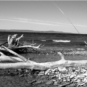 Casting on Georgian Bay, Owen Sound, Ontario, fisherman's greeting card, blank write own msg, Father's Day birthday card