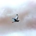 Owner of <a href='https://www.etsy.com/shop/Skybird111FineArt?ref=l2-about-shopname&from_page=listing' class='wt-text-link'>Skybird111FineArt</a>