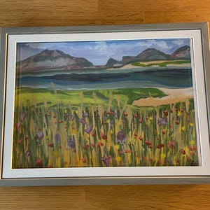 Scottish Hebrides Machair : Isle of Coll