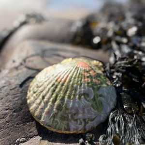 以下が含まれることがあります： 緑、金、白の花柄の装飾的な貝殻のクローズアップ。貝殻は岩の表面に海藻と一緒に置かれています。