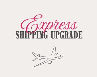 Expressverzendingupgrade – snelle levering – geen fysiek product – spoedverzending