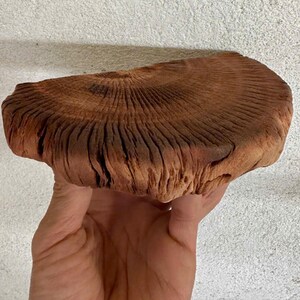 May include: A large, brown, wooden mushroom-shaped object with a textured surface.