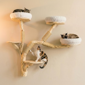 May include: A wall-mounted cat tree featuring natural light-coloured wood branches, sisal rope scratching sections, and three circular platforms topped with plush white cushions, occupied by three cats resting and playing on the structure.
