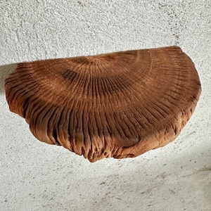 Floating shelf driftwood small corner floating bookshelves decor on wall mount art
