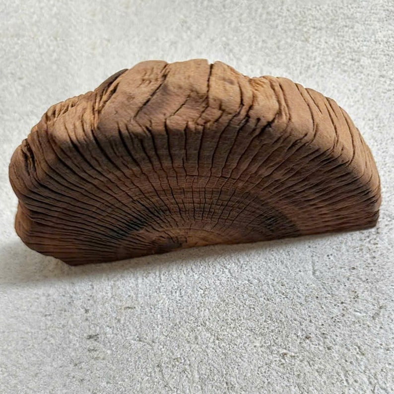 May include: A large, dark brown, wooden slice with a natural, rough texture. The wood grain is visible and the slice has a rounded shape.