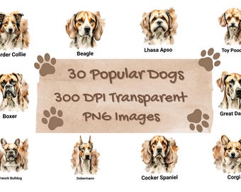 Brązowy akwarelowy pies Clipart PNG Bundle – Rustykalne ilustracje zwierząt domowych do sublimacji, naklejek i rzemiosła
