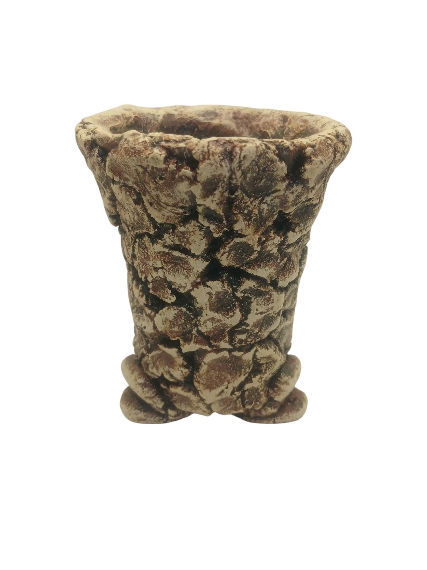 Caudex - Etsy Israel
