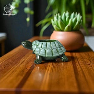 Turtle Succulent Planter Pot, Attractive Succulent Pot, Decorative Planter, Plant Lover Gifts