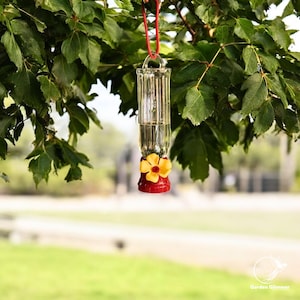 Plastic Hummingbird Feeder, Hanging Bird Feeder, Leak Proof, Attractive Backyard Decor
