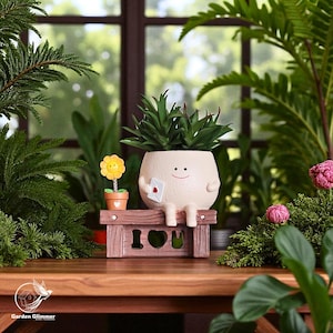 Smiley Face Succulent Planter Pot, Attractive Succulent Pot, Decorative Planter, Plant Lover Gifts