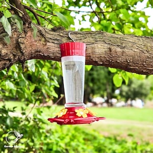 Hummingbird Feeder, Hanging Bird Feeder, Attractive Backyard Decor