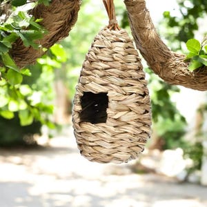 Hanging Bird Nest, Small Bird House, Backyard Decor, Bird Gifts