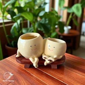 Smiley Face Succulent Planter Pot, Attractive Succulent Pot, Decorative Planter, Plant Lover Gifts