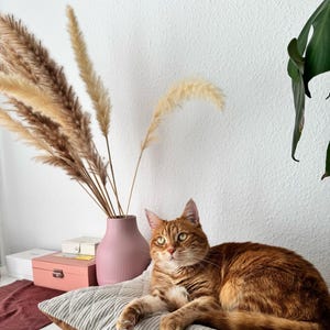 Cat lounger cushion