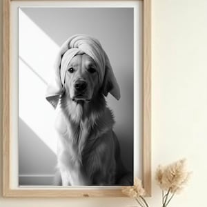 May include: A black and white photograph of a golden retriever dog wearing a white towel on its head. The dog is sitting and looking directly at the camera.