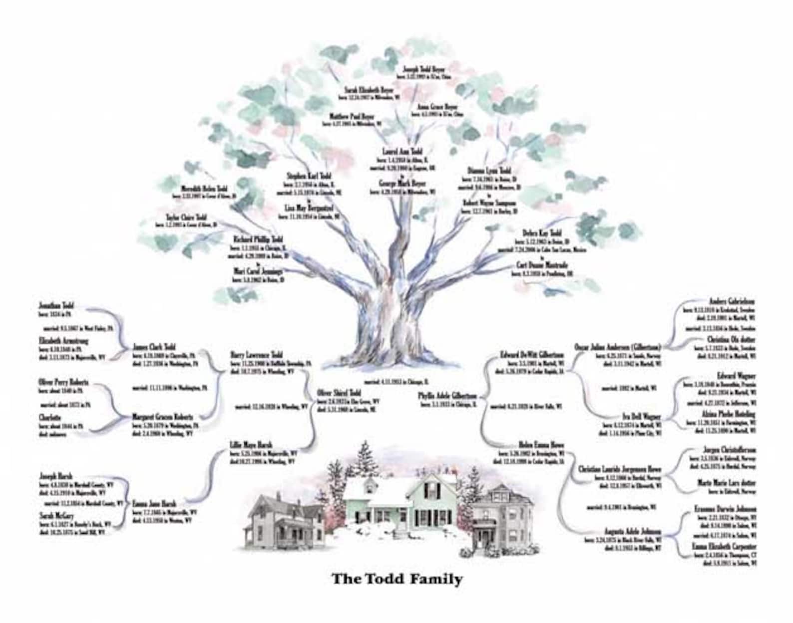 Custom Ilustrated Genealogy Trees Etsy