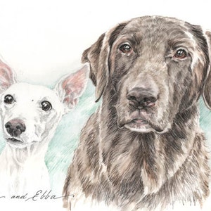Custom Illustrated Pet Portraits