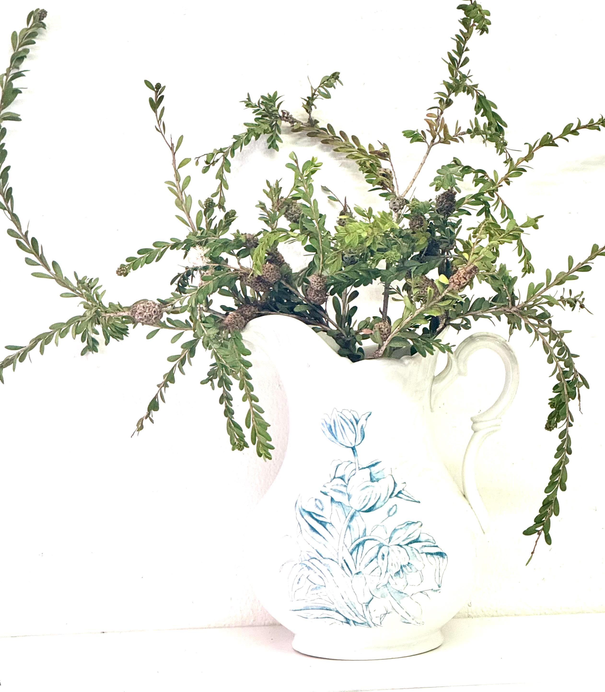 絶妙なヴィンテージlアイアンストーンホワイトピッチャー、ホワイト