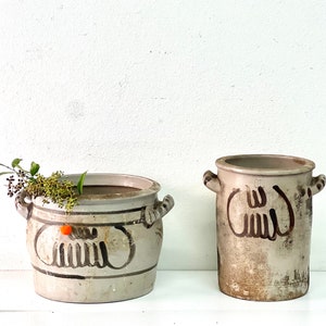 May include: Two gray ceramic planters with dark brown decorative markings. The rounder planter has handles and contains greenery and a small orange fruit. The taller, cylindrical planter also has handles and similar markings.