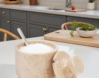 May include: A beige marble salt cellar with a matching lid and a small spoon. The salt cellar is filled with white salt and sits on a white countertop. The lid is off to the side.