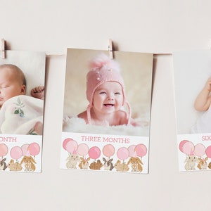 Bunny 1st Birthday Monthly Milestone Photo Banner Template B139