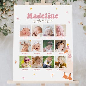 One Silly Goose Photo Poster, Printable Girl 1st Birthday Photo Milestone Board, Goose 1st Birthday Decorations, Monthly Photos Sign B864