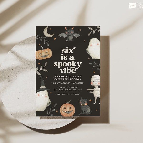 6th Birthday Invite Template Etsy