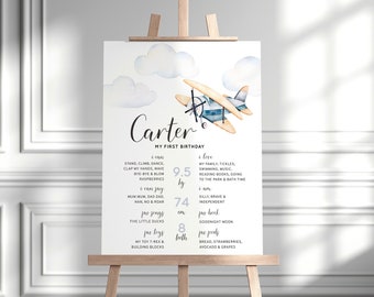 Airplane Milestone Poster Template Printable Boy 1st Birthday Party Decorations Clouds Aeroplane About Me Poster Minimalist Watercolor 8142