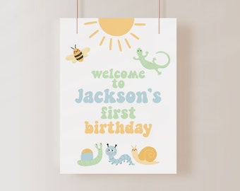 One in the Sun Welcome Sign Template, Cute Bug 1st Birthday Sign, Boy First Birthday Welcome Poster for Easel, Summer Party Decor B384