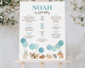 May include: A white poster on an easel with the name "Noah" and "my first birthday" in teal. The poster includes facts about Noah, such as his height (81 cm), weight (14 kg), and favorite things, along with illustrations of balloons and bunnies.