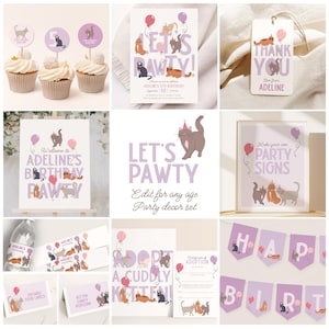 Kitten Birthday Invitation and Party Set, Cat Birthday Party Invite and Set B926