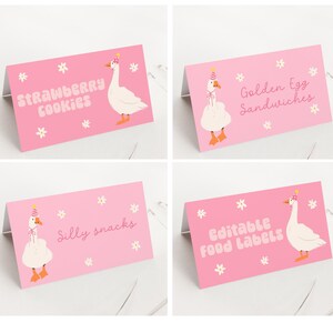 One Silly Goose Food Tents, Printable Girl 1st Birthday Party Food Labels, Goose Birthday Place Card Template, Birthday Buffet Cards B833