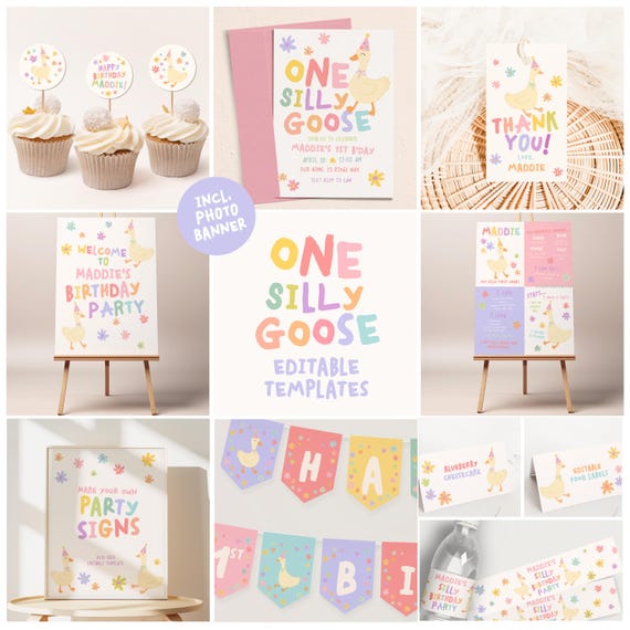 One Silly Goose 1st Birthday Invitation and Party Set, Girl 1st Birthday Party Invite C313