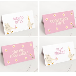 Goose Birthday Food Labels, One Silly Goose Party Food Tents, Printable Daisy First Birthday Place Cards, Birthday Party Buffet Labels B927