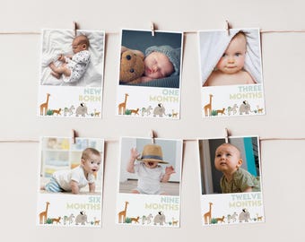 Wild One Photo Banner, Boy 1st Birthday Monthly Photo Bunting Template, Jungle Animals Birthday Bunting, Printable Milestone Banner B396