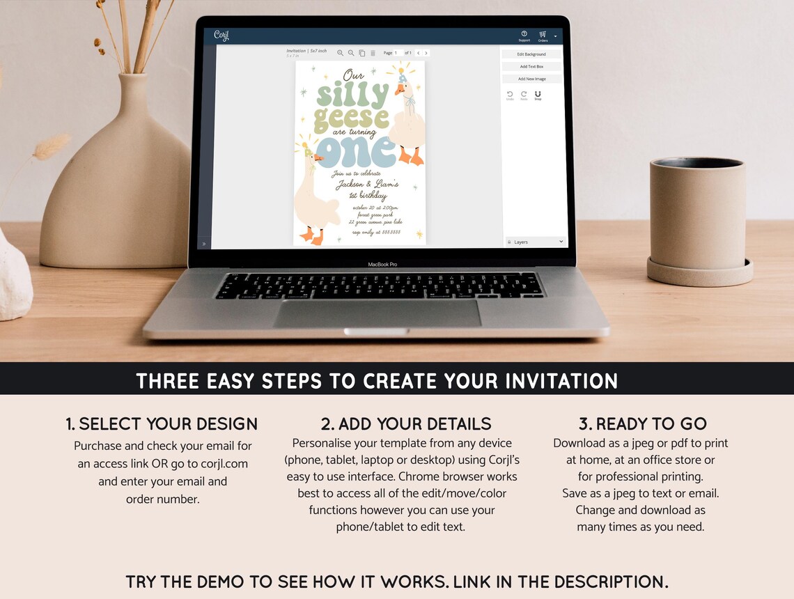 Silly Goose Twin Birthday Invitation, Twins Silly Geese Birthday Party ...