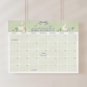 Gans Baby Shower Fälligkeit Datum Kalender Vorlage, erraten Sie das Ankunftsdatum Baby Shower, Gender Neutral Baby Shower Spiele Silly Goose B843
