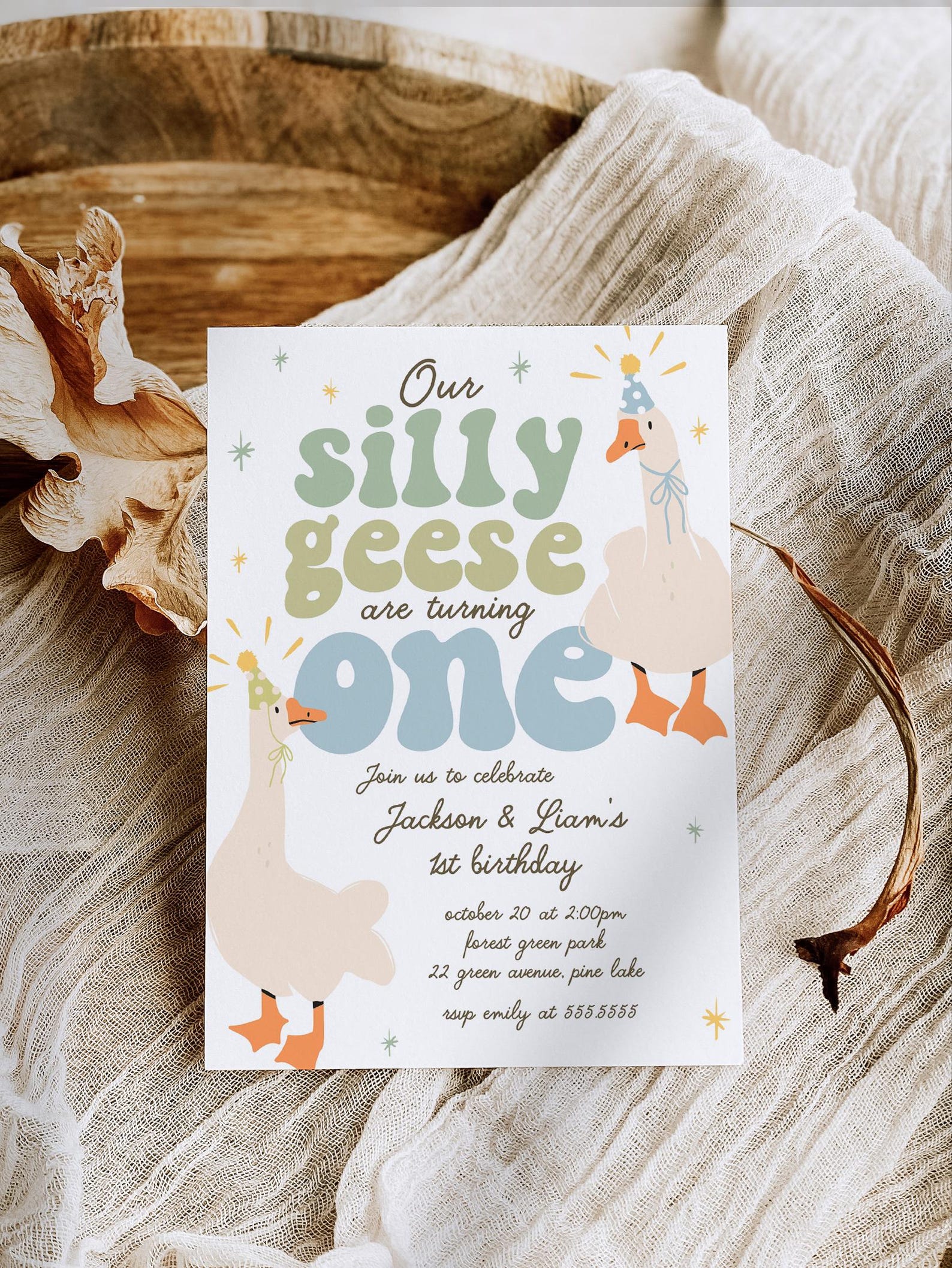 Silly Goose Twin Birthday Invitation, Twins Silly Geese Birthday Party ...
