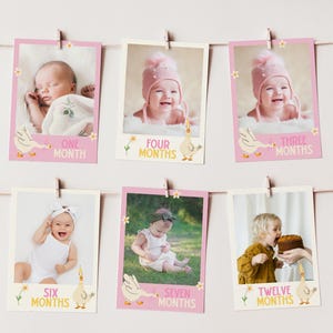 May include: A set of six baby milestone photo cards. Each card features a baby photo, a pink border, and the month of the baby's age. The cards are decorated with a cartoon goose and flowers. The cards are hanging on a string.