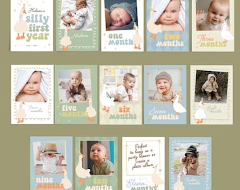 One Silly Goose Photo Banner, Boy 1st Birthday Photo Bunting, Goose Party Decorations, Monthly Photos Milestone Banner Printable B859
