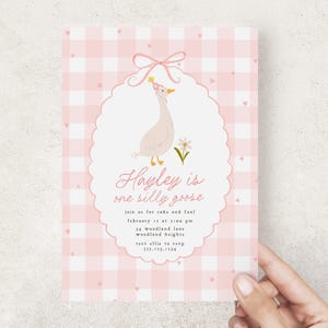 May include: A pink and white gingham patterned invitation with a cartoon goose wearing a party hat. The text "Hayley is one silly goose" is written in cursive. Additional text includes event details.