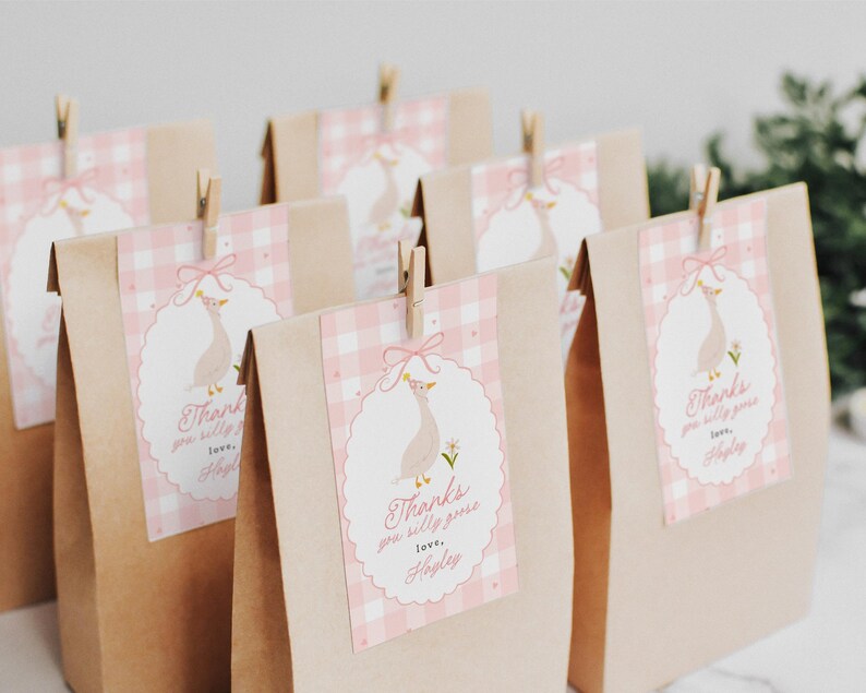 May include: Several brown paper gift bags with pink and white gingham tags featuring a goose illustration and the text "Thanks you silly goose, love, Hayley." Each tag is clipped to the bag with a small wooden clothespin.