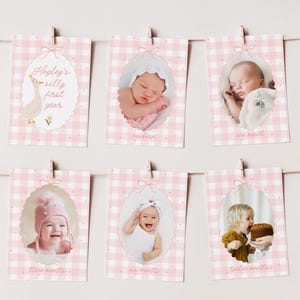 May include: A garland of baby milestone cards, each with a pink gingham background and a photo of a baby. The cards are labeled "newborn", "one month", "three months", "six months", and "twelve months". The first card reads "Hayley's silly first year".