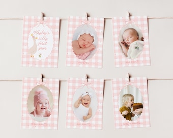 May include: A garland of baby milestone cards, each with a pink gingham background and a photo of a baby. The cards are labeled "newborn", "one month", "three months", "six months", and "twelve months". The first card reads "Hayley's silly first year".
