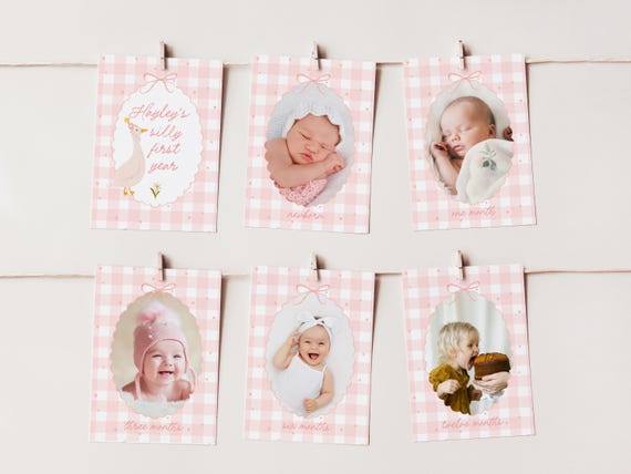 One Silly Goose Photo Banner, Goose 1st Birthday Bunting, Whimsical Girl Milestone 1st Birthday Monthly Photos Banner B847