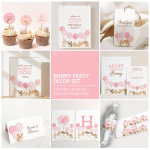Bunny Birthday Decorations Set, Printable Bunny Rabbit Party Decor, Pink Bunnies Birthday Bundle, Sign, Banner, Favor Tags, Food Labels B139