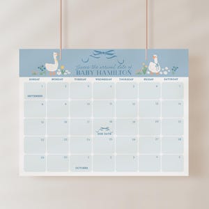 Gans Baby Shower Kalender, Dumme Gans Baby Shower Errate den Fälligkeitskalender, Junge Baby Shower Fälligkeitskalender Vorlage, Decor B846