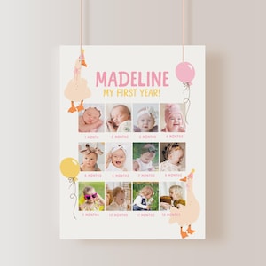 One Silly Goose Photo Sign, Girl 1st Birthday Photo Milestone Poster, Printable Goose First Birthday Monthly Photo Milestone Board B879
