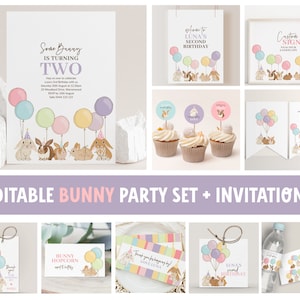 Bunny Party Set Editable Girl 2nd Birthday Templates for Bunny Birthday Party Decorations Printable Invitation Signs Birthday Suite 8137