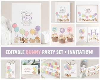 Bunny Birthday Invitation, Bunny Rabbit Party Set, Editable Birthday Templates for Bunny Birthday, Decorations Printable Birthday Suite 8137